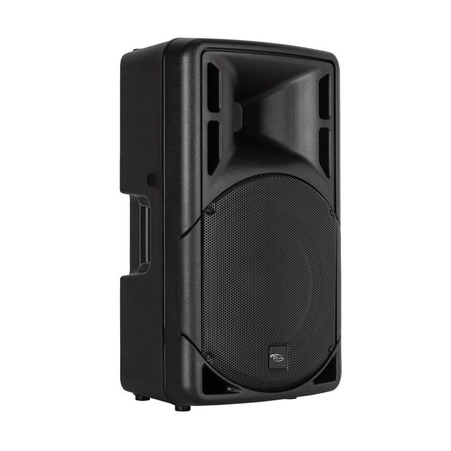 RF-12 15 12 15 inch plastic speaker (6)